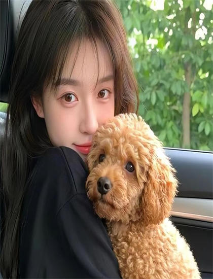 如何欣赏《咋整呢呵呵第2季》？观影全攻略教你把握节奏的起伏变化 提升观影体验